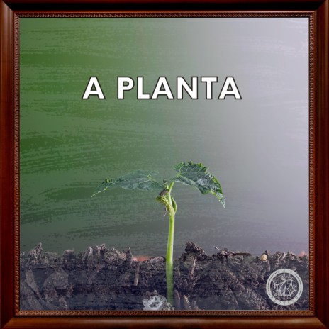 A Planta ft. Canaan & Big | Boomplay Music