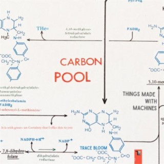 The Carbon Pool things made with machines