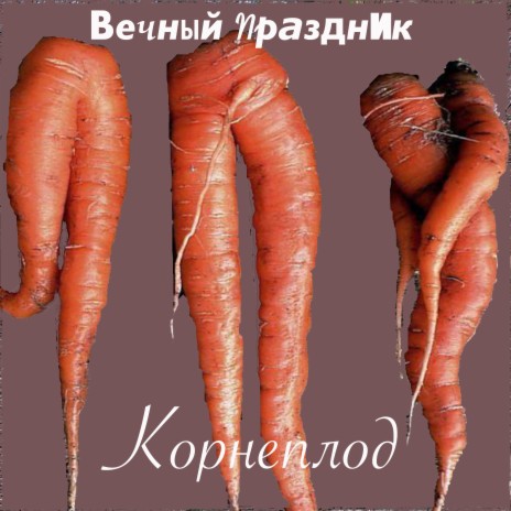 Корнеплод