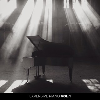 Expensive Piano, Vol. 1