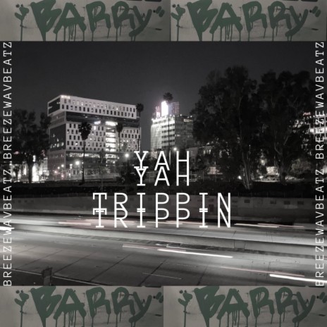 yah trippin | Boomplay Music