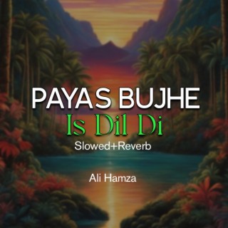 Payas Bujhe Is Dil Di Lofi