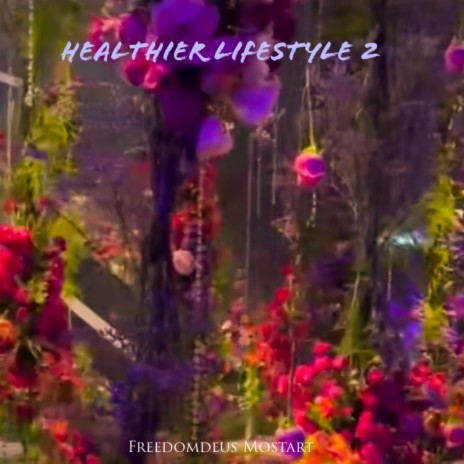Healthy Lifestyle 2 | Boomplay Music