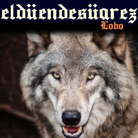 Lobo | Boomplay Music