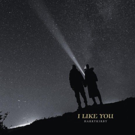 I like you | Boomplay Music