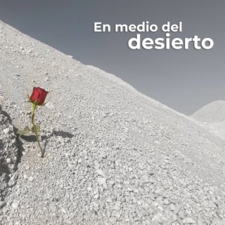 En medio del desierto