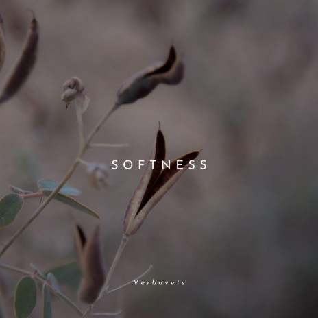 Softness | Boomplay Music