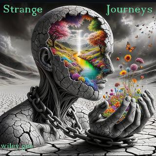 Strange Journeys