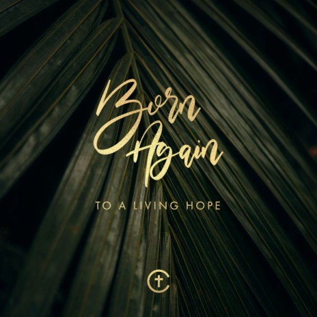 Born Again (To A Living Hope) ft. The City Church | Boomplay Music