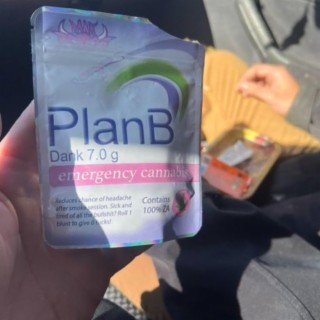 Plan B