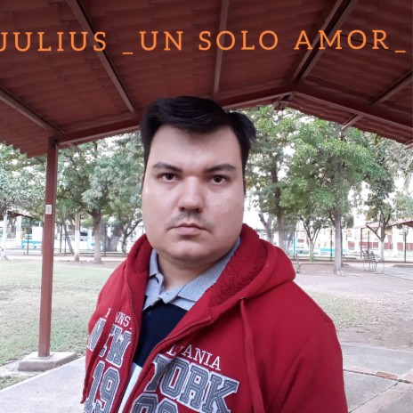 Un Solo Amor | Boomplay Music