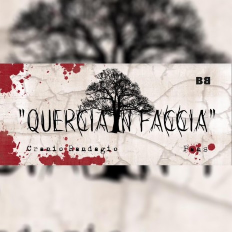 Quercia In Faccia | Boomplay Music