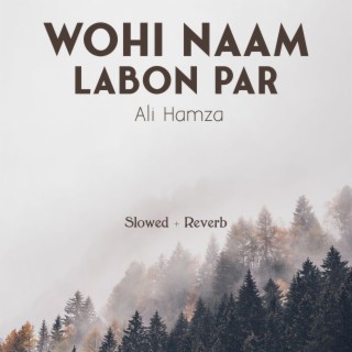 Wohi Naam Labon Par Lofi