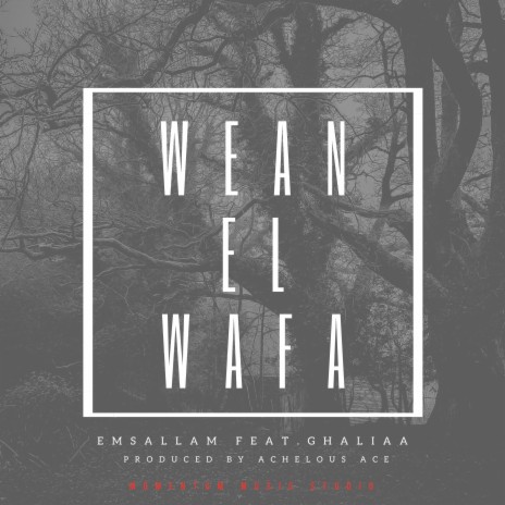 Wean El Wafa ft. Emsallam & Ghaliaa | Boomplay Music