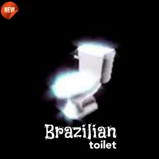 Brazilian toilet