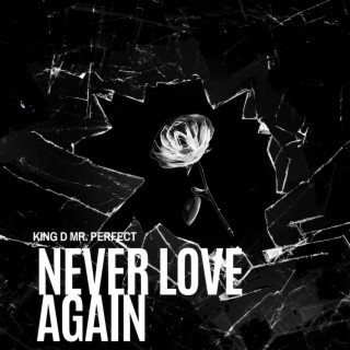 Never Love Again