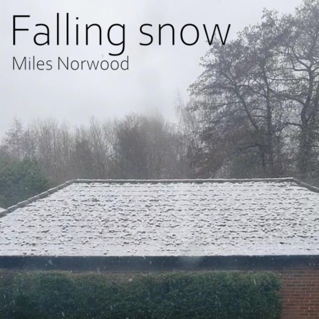 Falling Snow | Boomplay Music