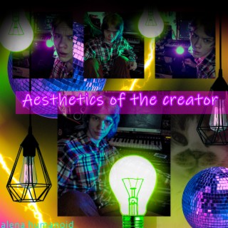 Aesthetics of the Creator