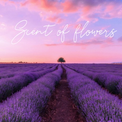 Scent of flowers | Boomplay Music