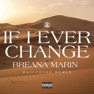 If I Ever Change (Remix)