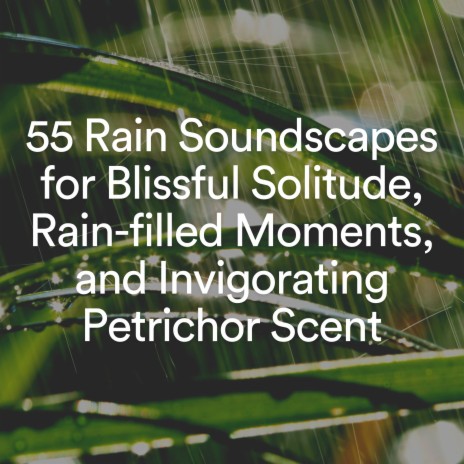 Gentle Night Time Rain, Pt. 11 ft. Natural Rain Sounds for Sleeping & Rainfall Place