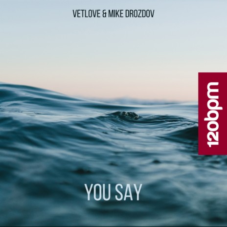 You Say (Radio mix) ft. Mike Drozdov | Boomplay Music