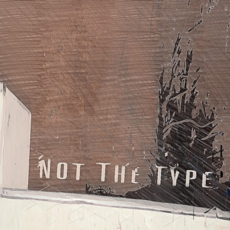 not the type | Boomplay Music