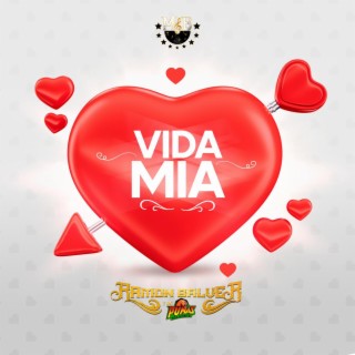 Vida Mia lyrics | Boomplay Music