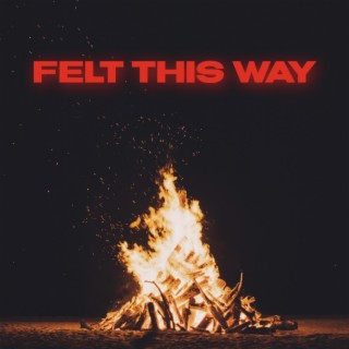 Felt This Way lyrics | Boomplay Music