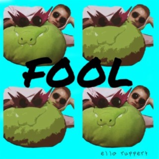 fool