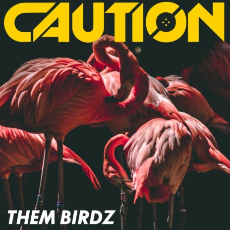Them Birdz (Instrumental) | Boomplay Music