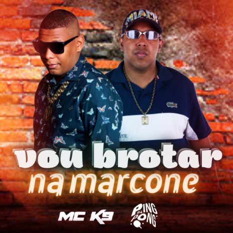 Vou Brotar na Marcone ft. Dj Ping pong | Boomplay Music