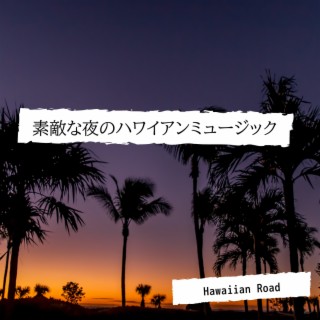素敵な夜のハワイアンミュージック