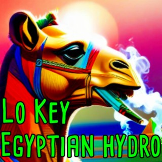 Egyptian Hydro