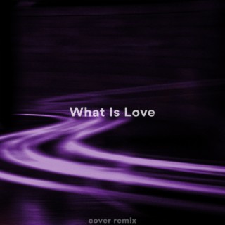 What Is Love (Remix)