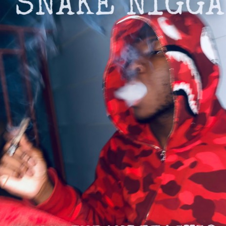 Snake niggas