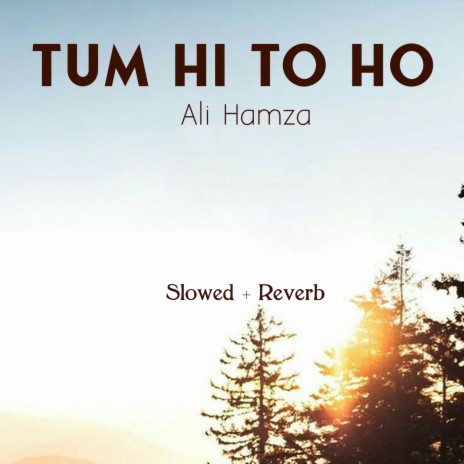 Tum Hi To Ho Lofi | Boomplay Music