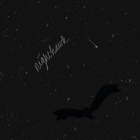 Nighthawk | Boomplay Music