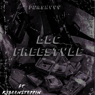 LLC Freestyle