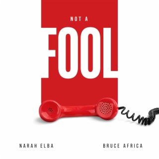 Not A Fool ft. Bruce Africa lyrics | Boomplay Music