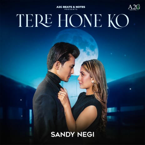 Tere Hone Ko | Boomplay Music