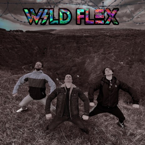 Wild Flex | Boomplay Music