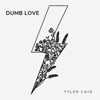 Dumb Love lyrics | Boomplay Music