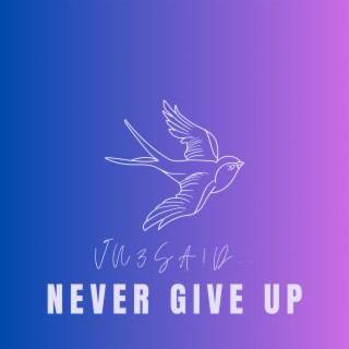 Never Give Up lyrics | Boomplay Music