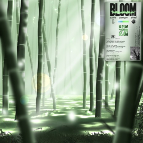 Bloom ft. Zankyou & shmel | Boomplay Music