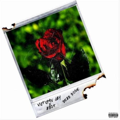 Dead Rose (feat. Adot) | Boomplay Music