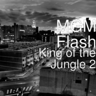 MGM Flash