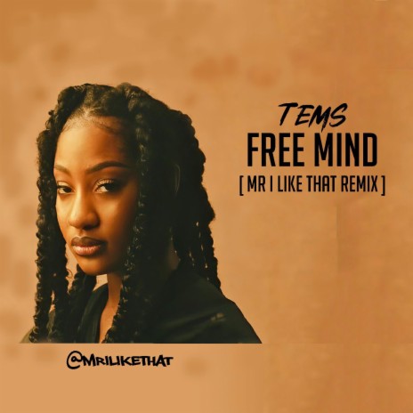 Free Mind (Mr I Like That Remix) (Radio Edit) | Boomplay Music