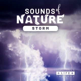 Sounds Of Nature Storm