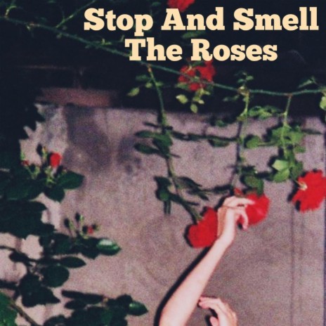 Stop And Smell The Roses